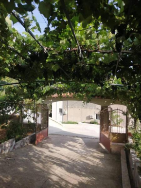 VILLA NEFELI